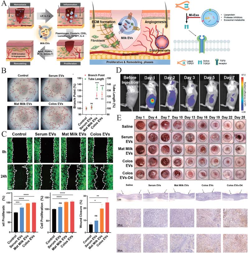 https://cdn.ncbi.nlm.nih.gov/pmc/blobs/8768/12003018/2e491e28e5fd/gr5.jpg