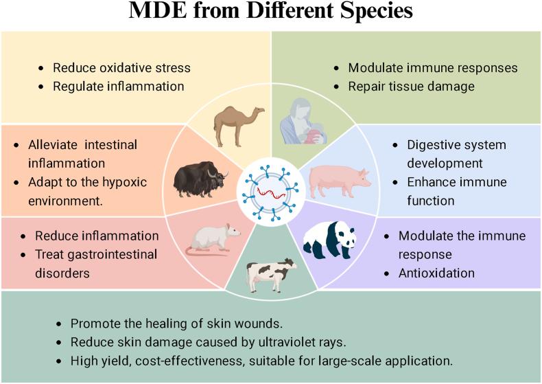 https://cdn.ncbi.nlm.nih.gov/pmc/blobs/8768/12003018/90c1de28d6b8/gr3.jpg