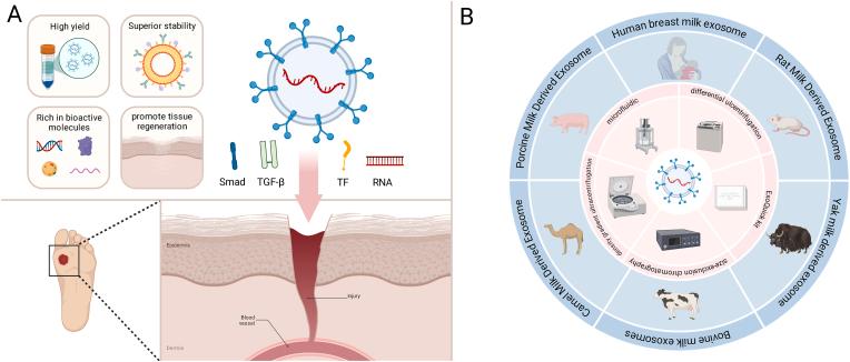 https://cdn.ncbi.nlm.nih.gov/pmc/blobs/8768/12003018/cba389266234/gr1.jpg