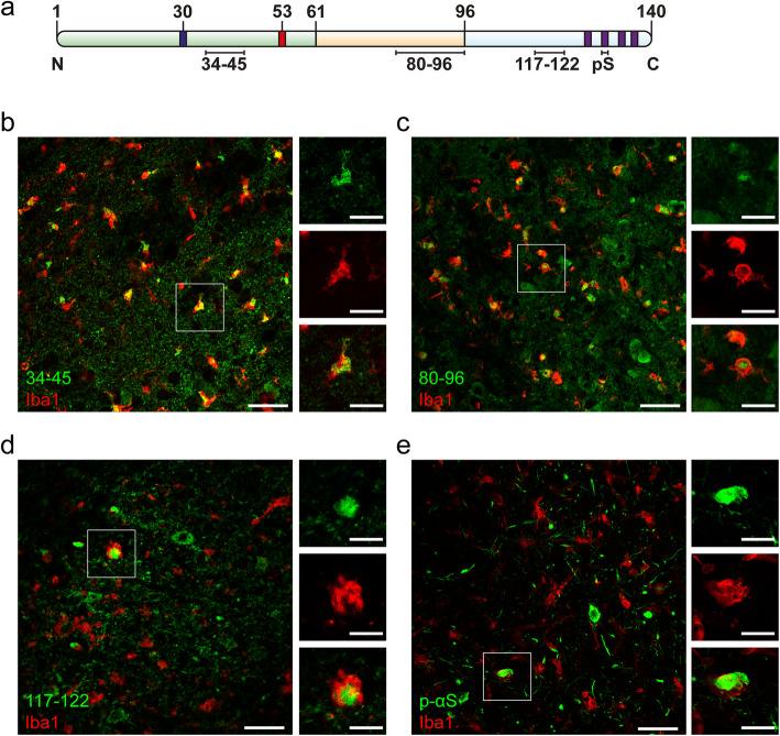 https://cdn.ncbi.nlm.nih.gov/pmc/blobs/8769/7425556/60a68104c41c/40478_2020_993_Fig3_HTML.jpg