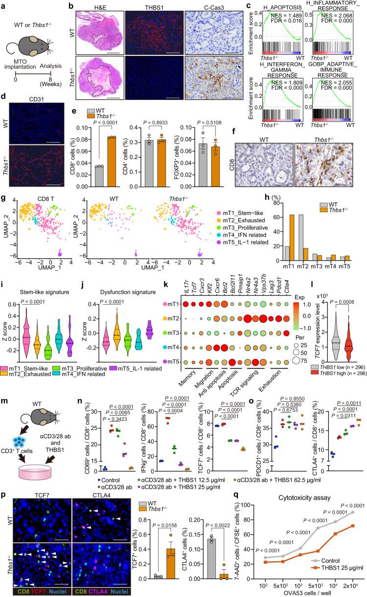 https://cdn.ncbi.nlm.nih.gov/pmc/blobs/876a/10520015/108a32c091e4/41467_2023_41095_Fig2_HTML.jpg