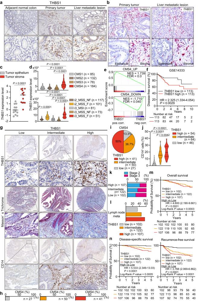 https://cdn.ncbi.nlm.nih.gov/pmc/blobs/876a/10520015/782631133332/41467_2023_41095_Fig1_HTML.jpg