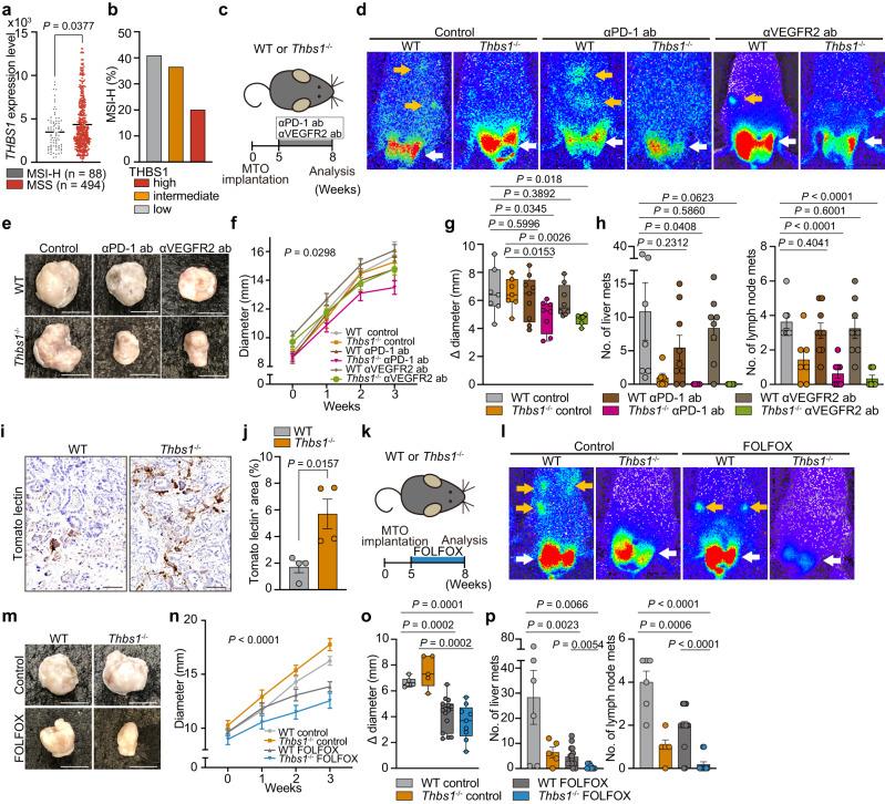 https://cdn.ncbi.nlm.nih.gov/pmc/blobs/876a/10520015/c9d6a2e1a2c8/41467_2023_41095_Fig7_HTML.jpg