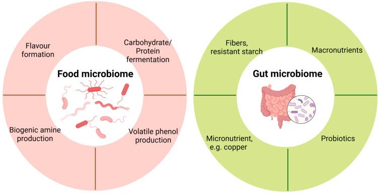 https://cdn.ncbi.nlm.nih.gov/pmc/blobs/876a/11943699/28162a2a432d/metabolites-15-00185-g002.jpg