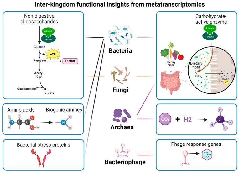 https://cdn.ncbi.nlm.nih.gov/pmc/blobs/876a/11943699/569005ce74ae/metabolites-15-00185-g003.jpg