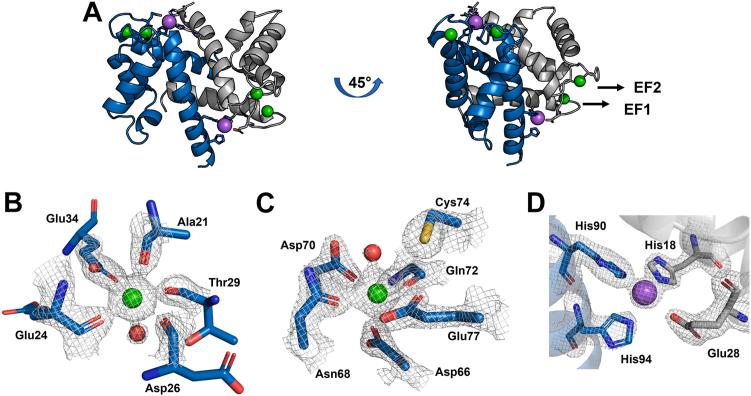 https://cdn.ncbi.nlm.nih.gov/pmc/blobs/876b/10598741/02b10a6374bc/gr3.jpg