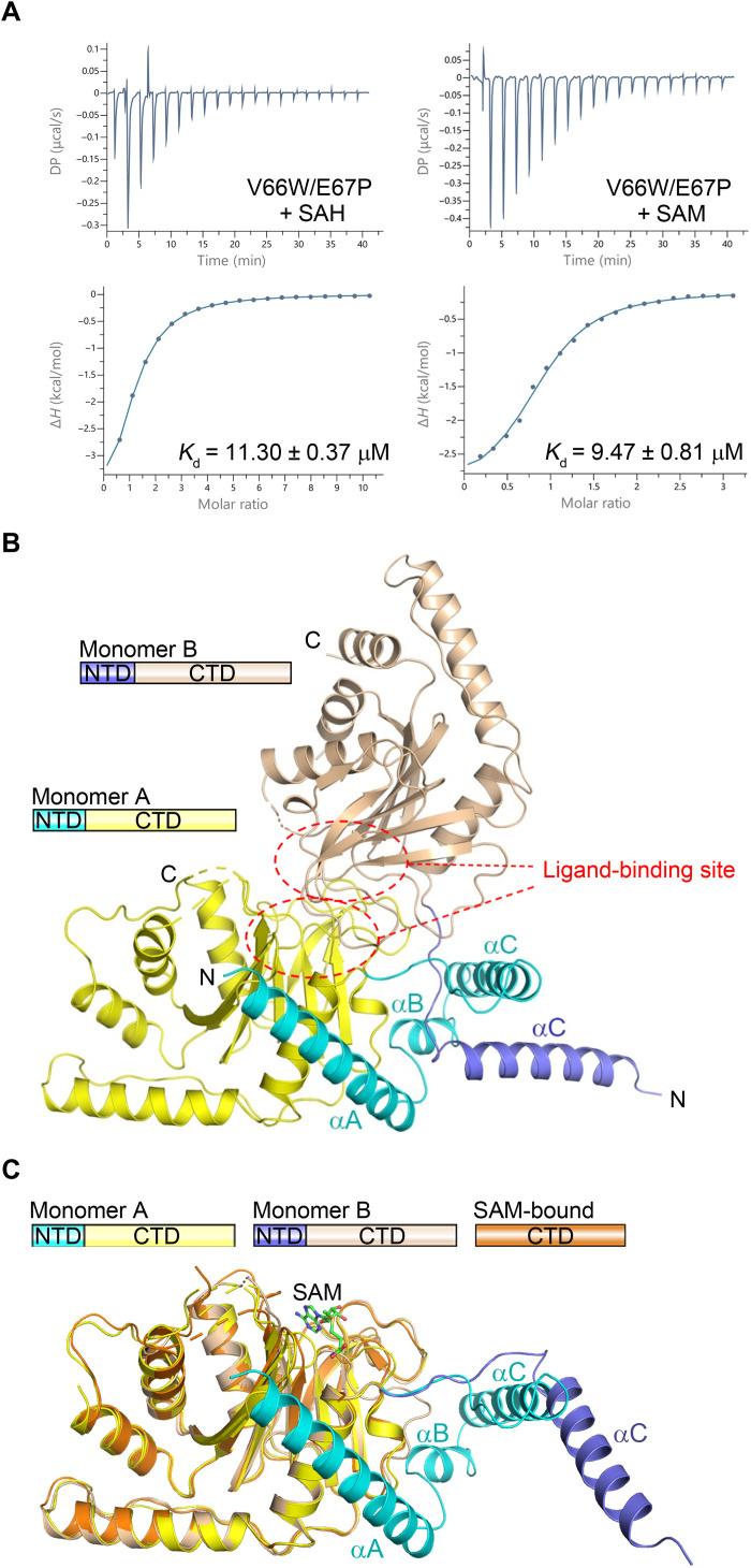 https://cdn.ncbi.nlm.nih.gov/pmc/blobs/876b/10883374/704d5e5ee5be/sciadv.abn3868-f2.jpg