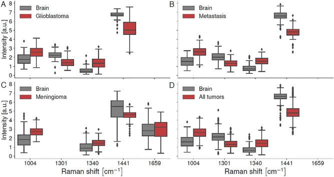 https://cdn.ncbi.nlm.nih.gov/pmc/blobs/876b/11164901/0a9f1b1012b1/41598_2024_62543_Fig5_HTML.jpg