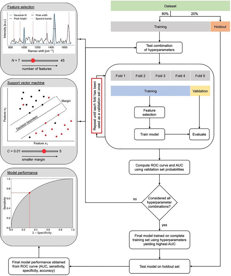 https://cdn.ncbi.nlm.nih.gov/pmc/blobs/876b/11164901/a78ffcd76f98/41598_2024_62543_Fig2_HTML.jpg