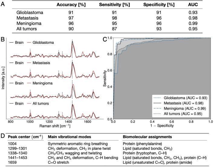 https://cdn.ncbi.nlm.nih.gov/pmc/blobs/876b/11164901/c74f45d76cf5/41598_2024_62543_Fig4_HTML.jpg