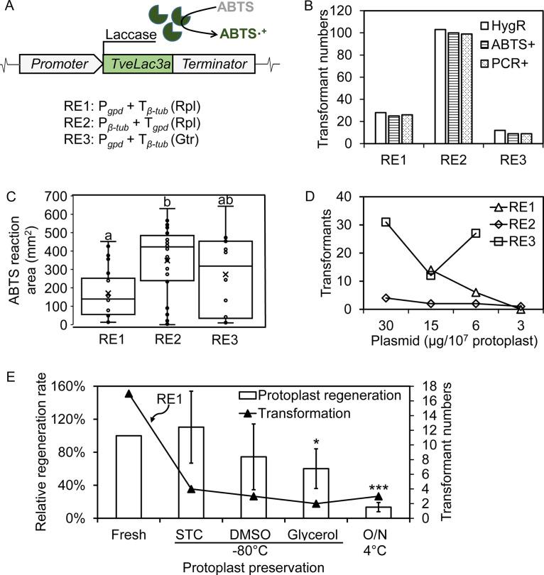 https://cdn.ncbi.nlm.nih.gov/pmc/blobs/876b/9927100/5bdbf4f9d036/spectrum.04246-22-f004.jpg