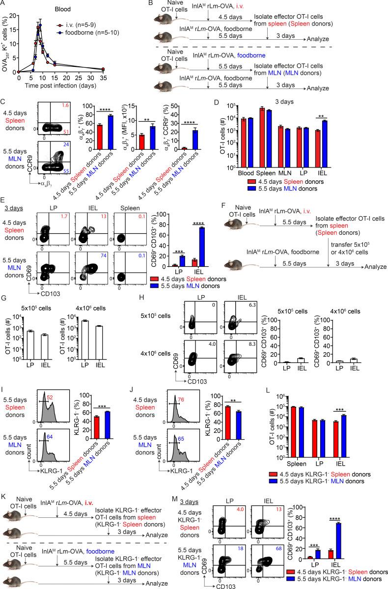 https://cdn.ncbi.nlm.nih.gov/pmc/blobs/876b/9960115/a33782025dc1/JEM_20210923_FigS2.jpg