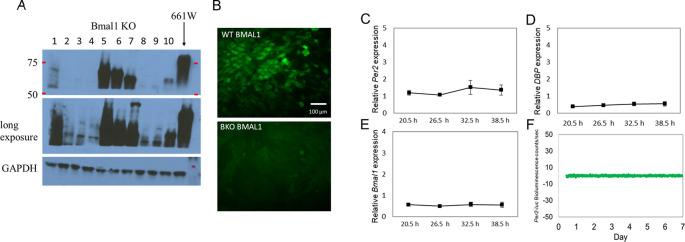 https://cdn.ncbi.nlm.nih.gov/pmc/blobs/876d/9703947/8fe10a88e997/f1000research-11-141194-g0001.jpg
