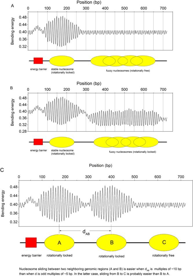 https://cdn.ncbi.nlm.nih.gov/pmc/blobs/876e/5995830/814ee4d81242/41598_2018_27247_Fig5_HTML.jpg