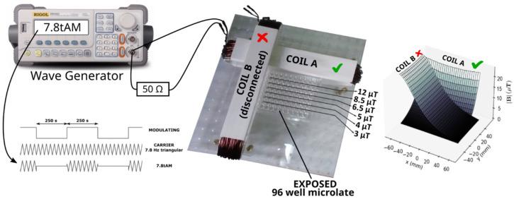 https://cdn.ncbi.nlm.nih.gov/pmc/blobs/876f/9699011/e4f4a63a3ff5/ijms-23-14391-g003.jpg