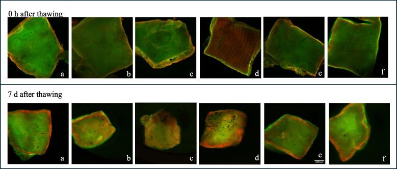 https://cdn.ncbi.nlm.nih.gov/pmc/blobs/8770/12048971/36ea70b04aeb/13048_2025_1593_Fig1_HTML.jpg