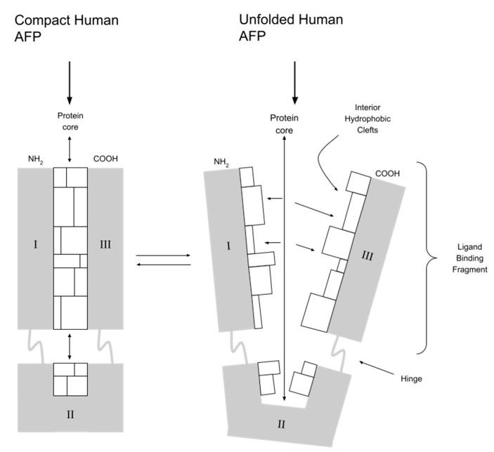 https://cdn.ncbi.nlm.nih.gov/pmc/blobs/8770/9917199/65e72dc7a569/ijms-24-02539-g002.jpg