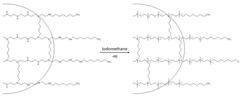 https://cdn.ncbi.nlm.nih.gov/pmc/blobs/8771/7693368/aa81687e718f/polymers-12-02551-g005.jpg