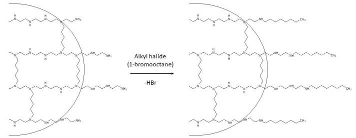 https://cdn.ncbi.nlm.nih.gov/pmc/blobs/8771/7693368/d057c2ea3a56/polymers-12-02551-g003.jpg