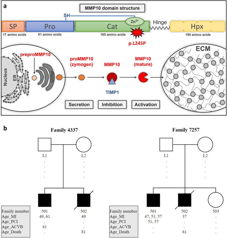 https://cdn.ncbi.nlm.nih.gov/pmc/blobs/8772/11133425/e834d00ff6f1/41598_2024_62878_Fig1_HTML.jpg