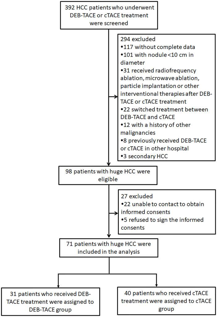 https://cdn.ncbi.nlm.nih.gov/pmc/blobs/8774/8814413/cfaf20316733/fonc-11-793581-g001.jpg