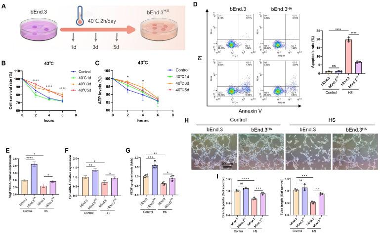 https://cdn.ncbi.nlm.nih.gov/pmc/blobs/8775/11667810/22eea3b300b9/ijbsv21p0175g001.jpg
