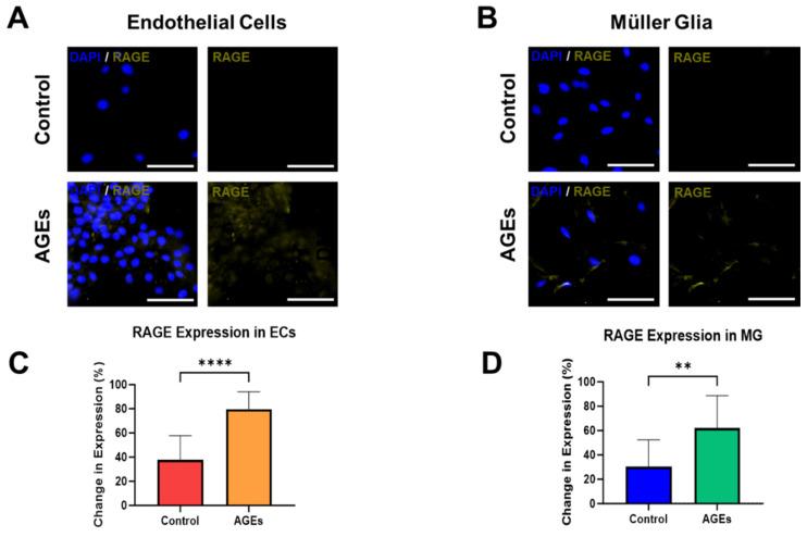 https://cdn.ncbi.nlm.nih.gov/pmc/blobs/8779/10813697/50af26b0edf3/bioengineering-11-00063-g004.jpg