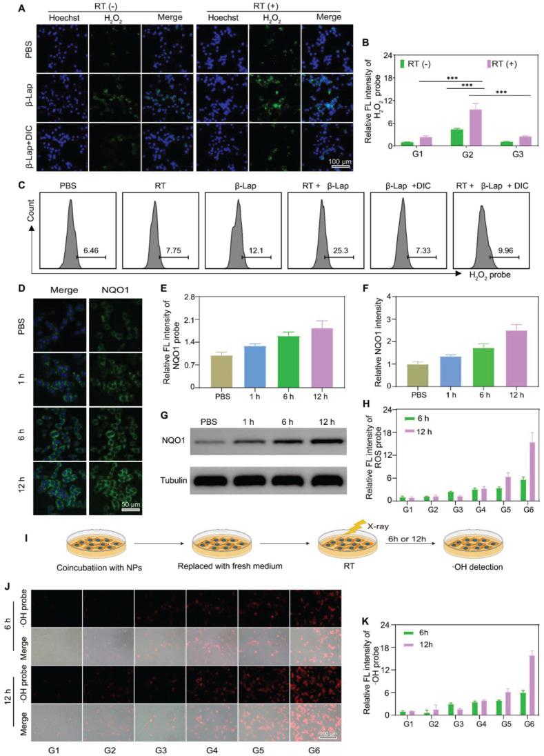 https://cdn.ncbi.nlm.nih.gov/pmc/blobs/877b/12203676/133d37fd0fec/thnov15p6768g003.jpg