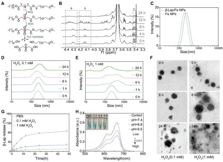 https://cdn.ncbi.nlm.nih.gov/pmc/blobs/877b/12203676/644a7ed4acbb/thnov15p6768g002.jpg