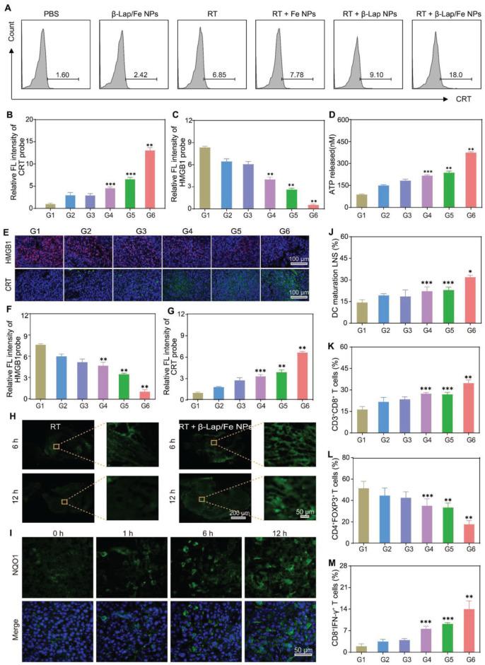 https://cdn.ncbi.nlm.nih.gov/pmc/blobs/877b/12203676/d58ddad59df3/thnov15p6768g006.jpg
