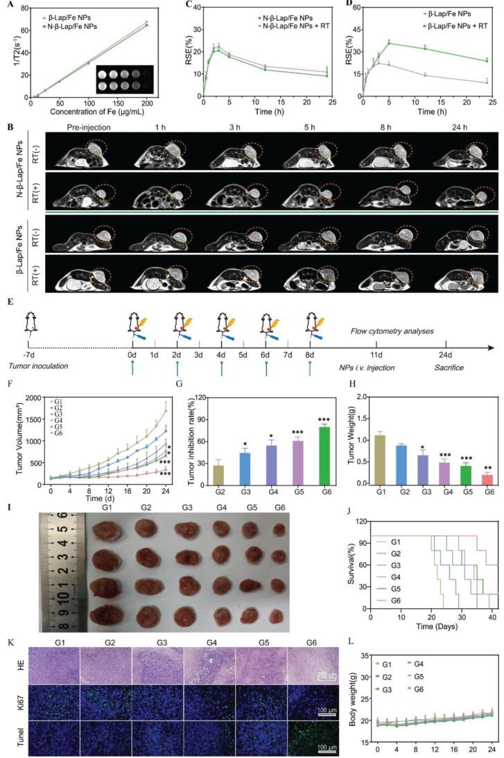https://cdn.ncbi.nlm.nih.gov/pmc/blobs/877b/12203676/dade735ec946/thnov15p6768g005.jpg