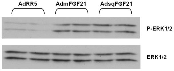 https://cdn.ncbi.nlm.nih.gov/pmc/blobs/877d/3534659/1f8542a67f13/pone.0053574.g004.jpg