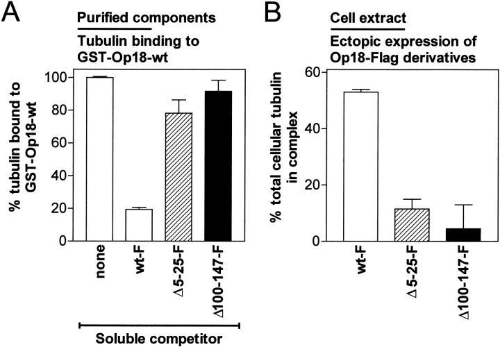 https://cdn.ncbi.nlm.nih.gov/pmc/blobs/877e/2156119/82d2fe4bf192/JCB9906092.f5.jpg