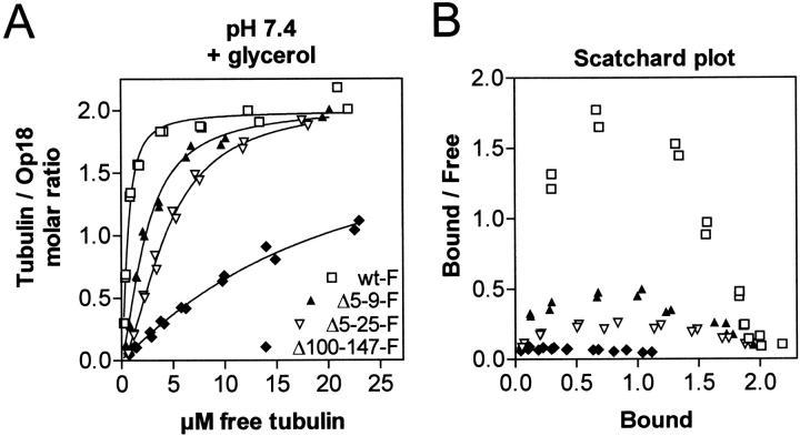 https://cdn.ncbi.nlm.nih.gov/pmc/blobs/877e/2156119/b7331120ec7d/JCB9906092.f4.jpg