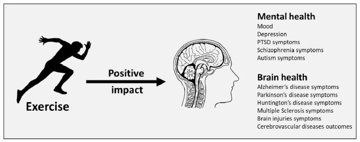 https://cdn.ncbi.nlm.nih.gov/pmc/blobs/877e/8070923/a4ca7adb6ccb/ijms-22-04052-g001.jpg