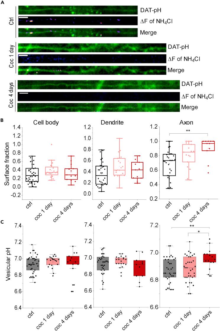 https://cdn.ncbi.nlm.nih.gov/pmc/blobs/877f/9804146/7525bd703dac/gr5.jpg
