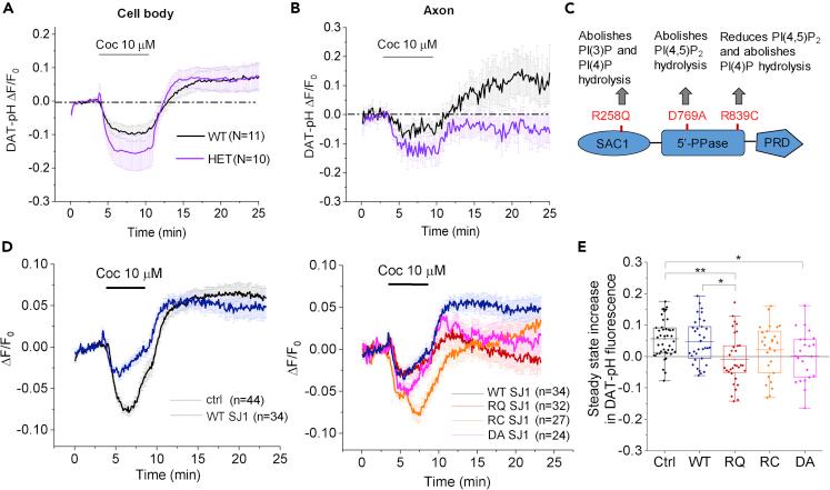 https://cdn.ncbi.nlm.nih.gov/pmc/blobs/877f/9804146/9f2c397485cb/gr6.jpg