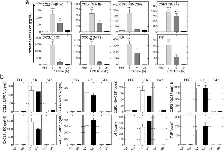 https://cdn.ncbi.nlm.nih.gov/pmc/blobs/8780/6166284/465dfaa31be6/13223_2018_266_Fig5_HTML.jpg