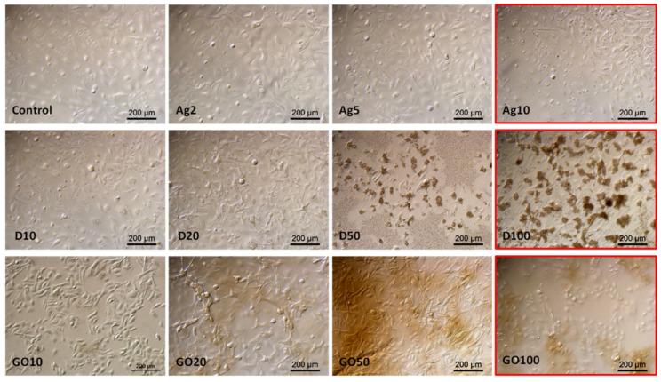 https://cdn.ncbi.nlm.nih.gov/pmc/blobs/8781/11313757/3438a7b2a092/molecules-29-03581-g006.jpg