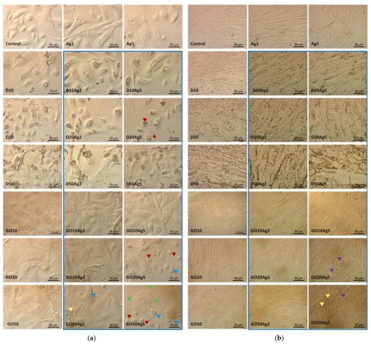 https://cdn.ncbi.nlm.nih.gov/pmc/blobs/8781/11313757/41b9ac23257f/molecules-29-03581-g012.jpg