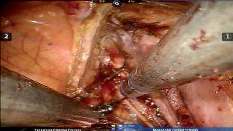 https://cdn.ncbi.nlm.nih.gov/pmc/blobs/8784/8512518/32e8011675e0/WIITM-16-43377-g006.jpg