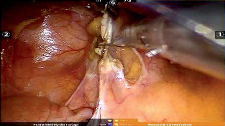 https://cdn.ncbi.nlm.nih.gov/pmc/blobs/8784/8512518/c2cef50ff2c6/WIITM-16-43377-g003.jpg