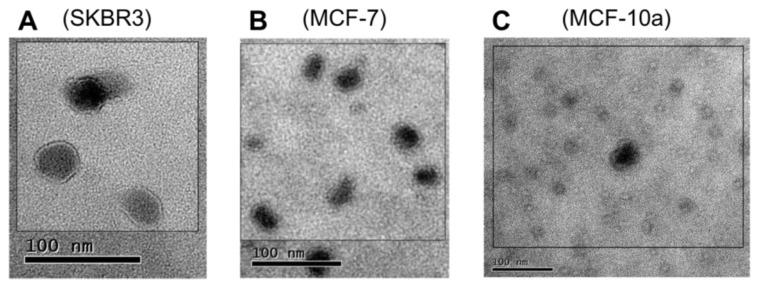 https://cdn.ncbi.nlm.nih.gov/pmc/blobs/8785/5748560/530871061f73/proteomes-05-00025-g002.jpg