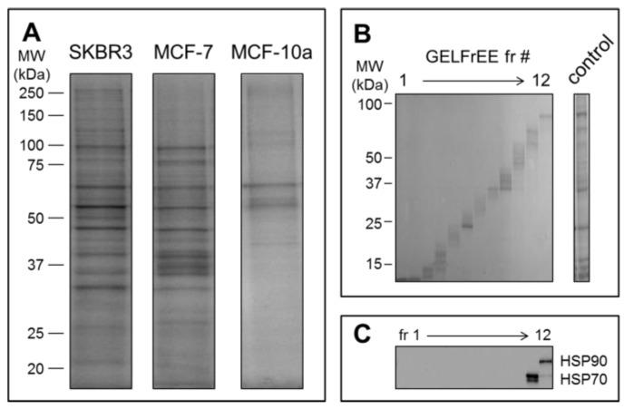 https://cdn.ncbi.nlm.nih.gov/pmc/blobs/8785/5748560/c5c937d6c87f/proteomes-05-00025-g004.jpg