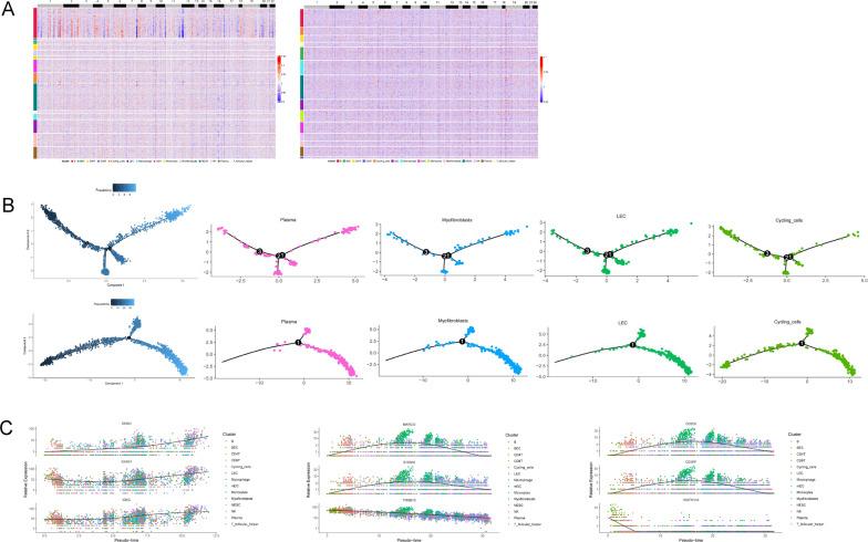 https://cdn.ncbi.nlm.nih.gov/pmc/blobs/8787/12009523/e0383c649d73/12967_2025_6456_Fig2_HTML.jpg