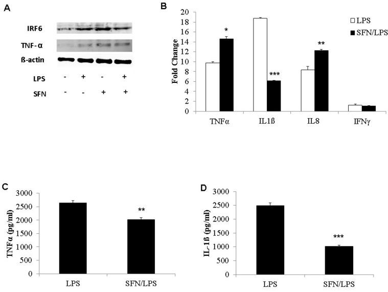 https://cdn.ncbi.nlm.nih.gov/pmc/blobs/8787/4368608/be20292bb05c/pone.0121574.g008.jpg