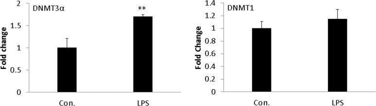 https://cdn.ncbi.nlm.nih.gov/pmc/blobs/8787/4368608/f0f4c5470a0d/pone.0121574.g002.jpg