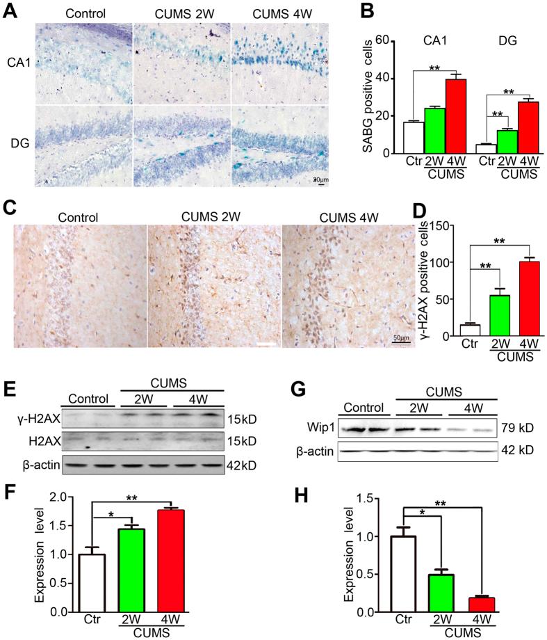 https://cdn.ncbi.nlm.nih.gov/pmc/blobs/8787/5043360/85ffbc0afc7e/srep34558-f4.jpg