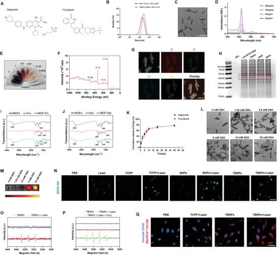 https://cdn.ncbi.nlm.nih.gov/pmc/blobs/8789/11727257/6ef841b38c0b/ADVS-12-2410427-g001.jpg