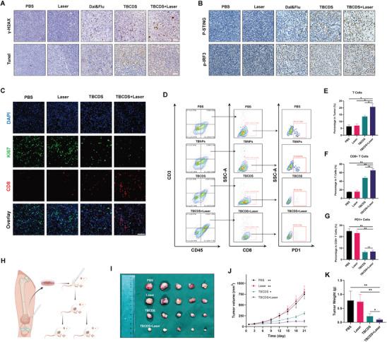 https://cdn.ncbi.nlm.nih.gov/pmc/blobs/8789/11727257/9c52db7d7a97/ADVS-12-2410427-g006.jpg